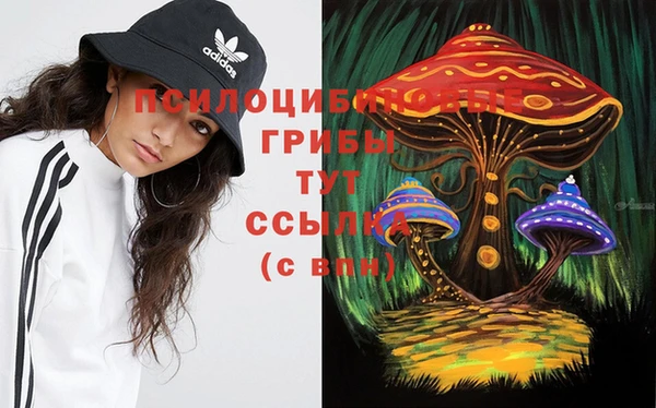 молекула духа Няндома