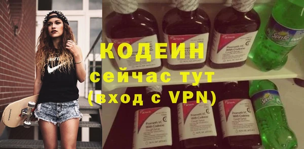 молекула духа Няндома
