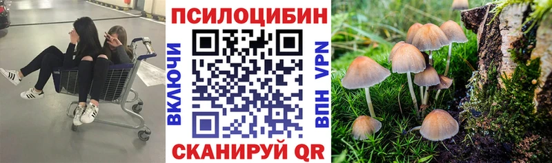 Галлюциногенные грибы мицелий  Борзя 